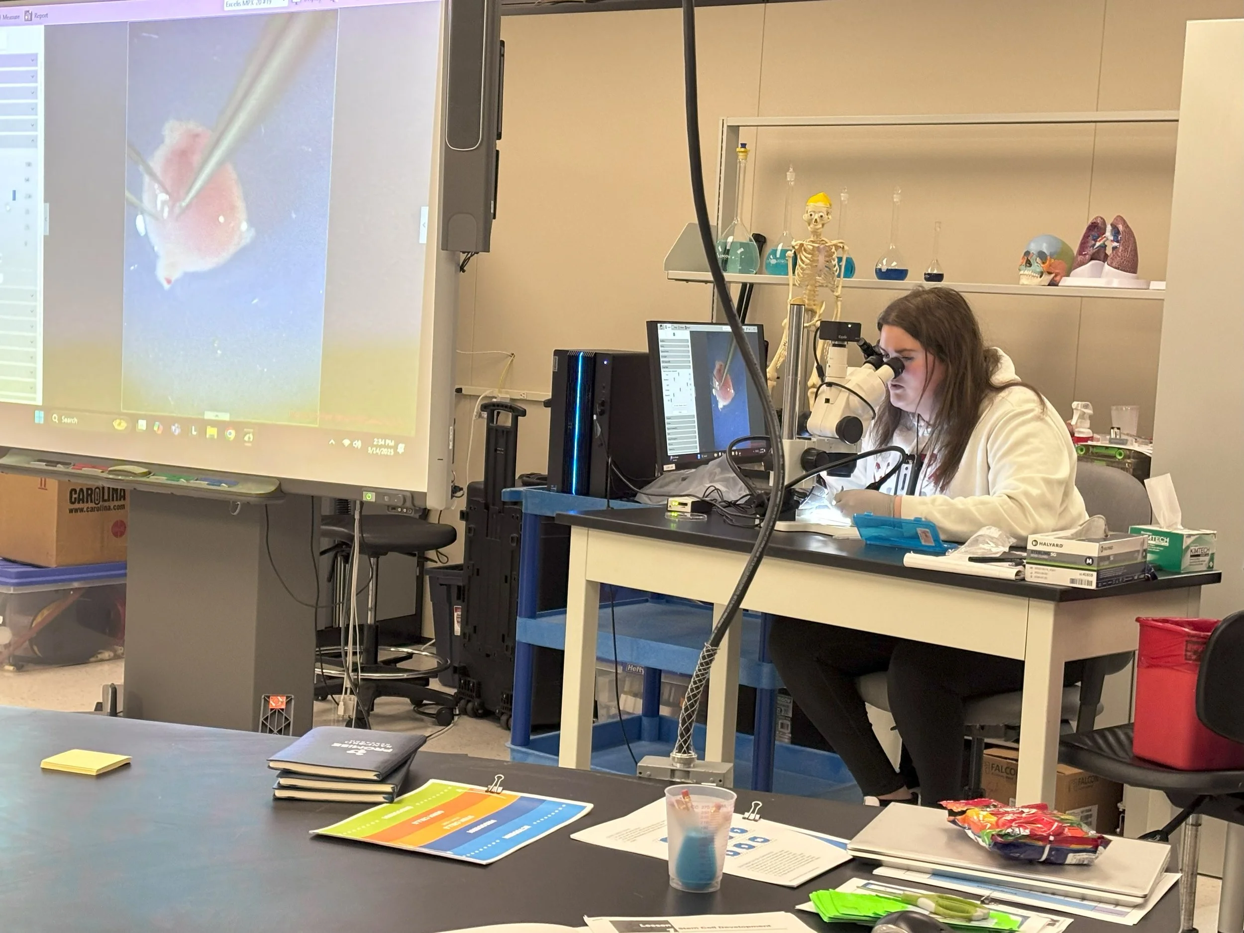 PROMISE Lab outreach — E989DBE4
