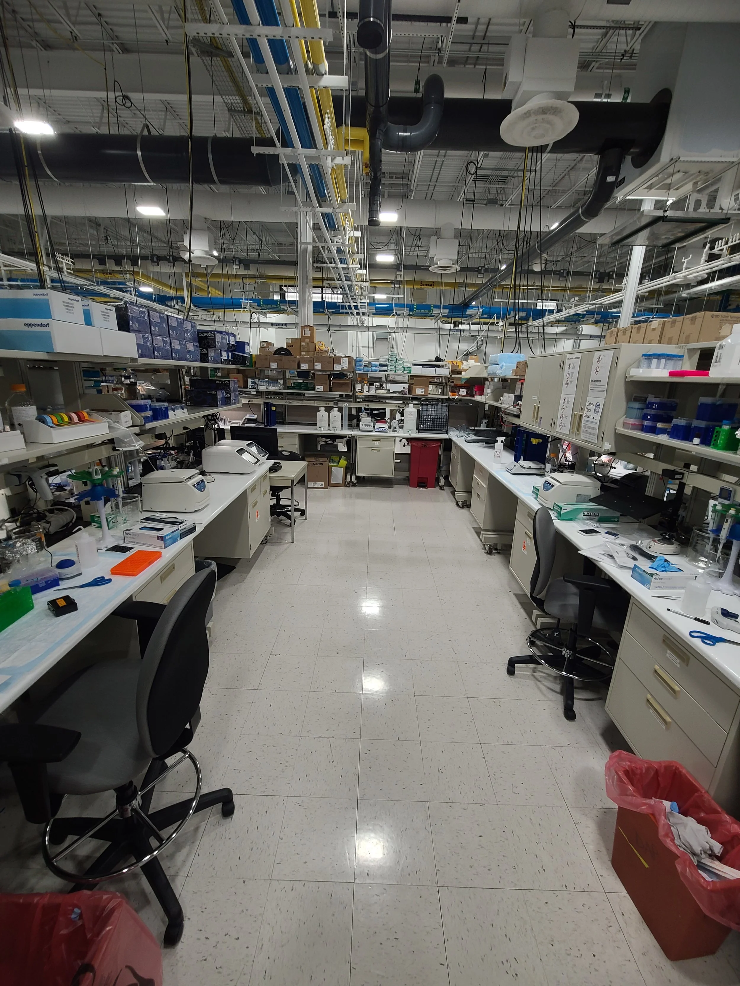 Loukil Lab opening — November 2022