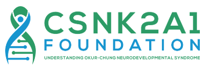 CSNK2A1 Foundation